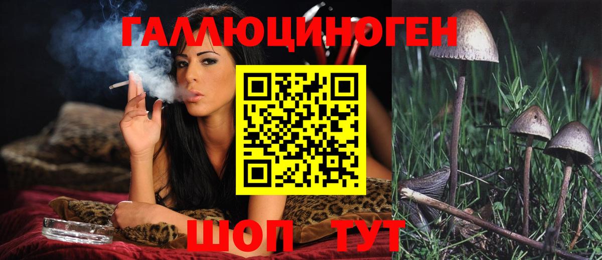 магазин продажи   Галлюциногенные грибы прущие грибы  Вход с VPN  Петропавловск-Камчатский  Галлюциногенные грибы прущие грибы 